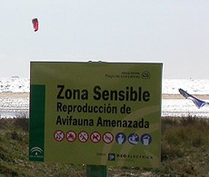 Kite-surfing rules on the Los Lances beach... © John Muddeman